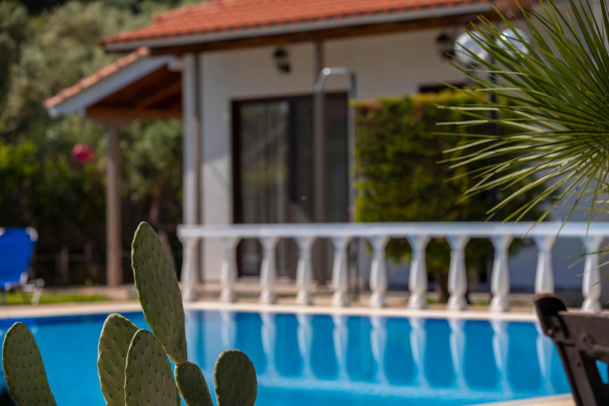 Villa Dimitris Apartments & Bungalows Frínion エクステリア 写真